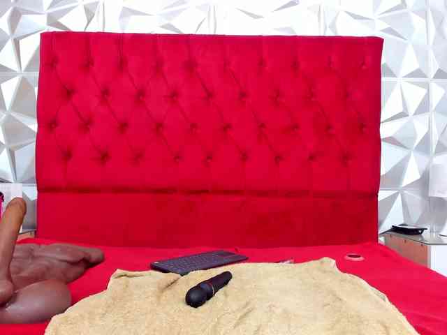 steacy-19 Live Webcam on BongaCams