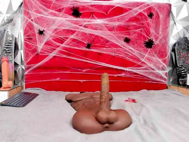 steacy-19 webcam