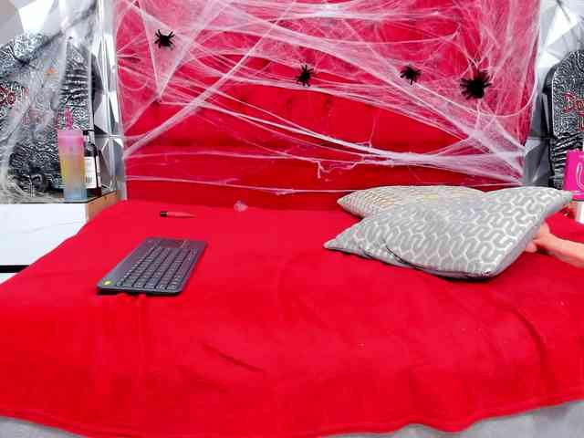 steacy-19 webcam
