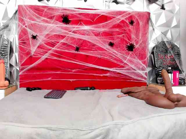 steacy-19 webcam
