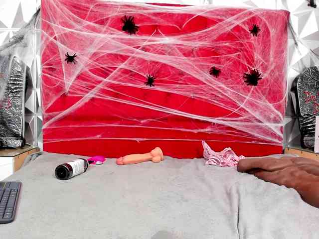 steacy-19 webcam