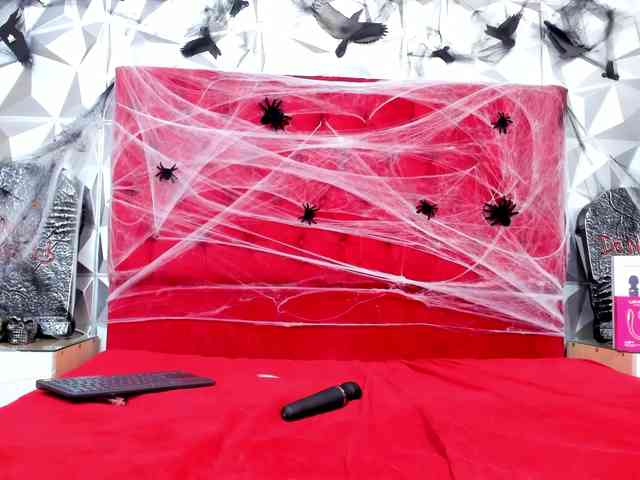 steacy-19 webcam