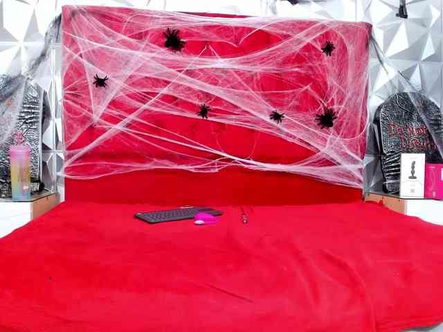 steacy-19 webcam