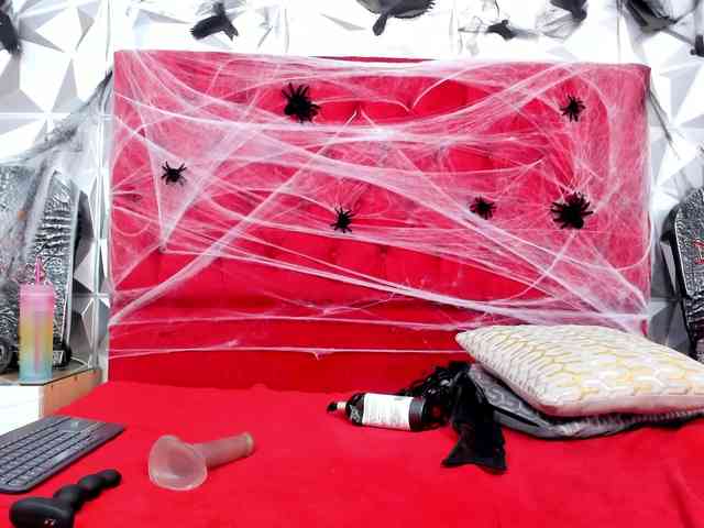 steacy-19 webcam