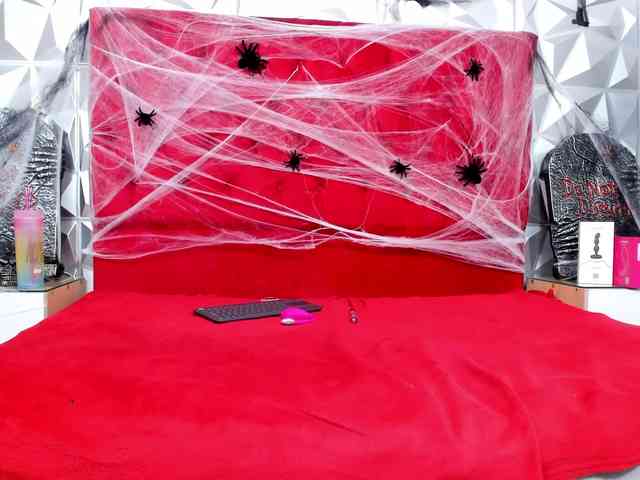 steacy-19 webcam