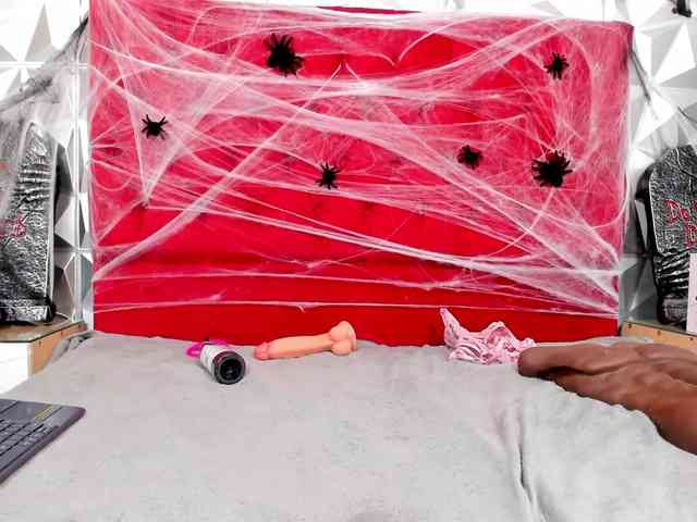 steacy-19 webcam
