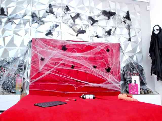 steacy-19 webcam