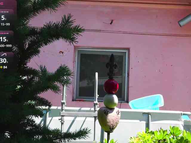 Miss-Bia webcam