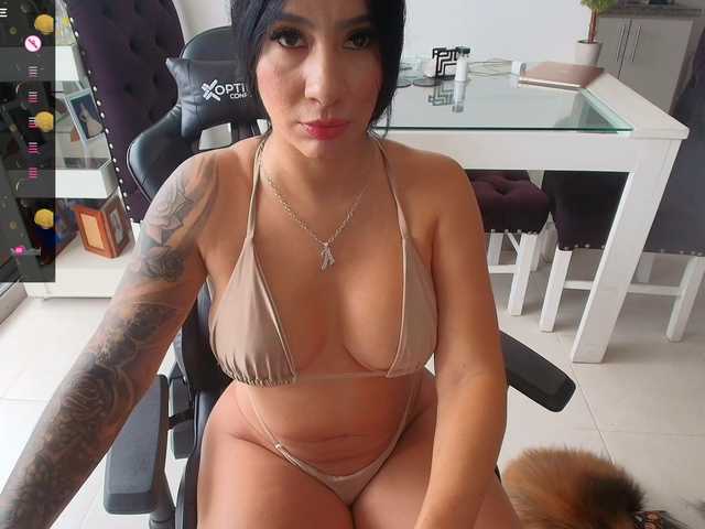 Preview of pamelafit