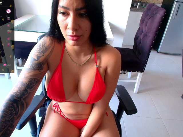 Preview of pamelafit