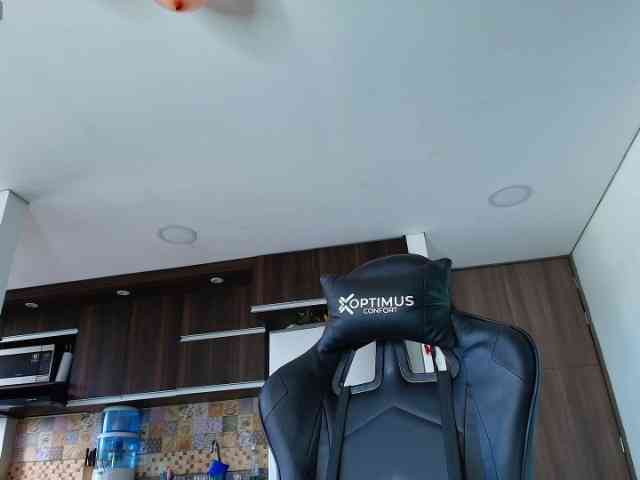 pamelafit webcam