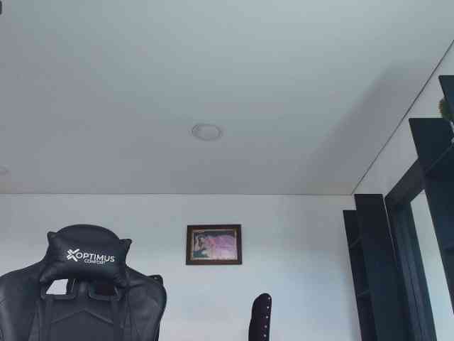 pamelafit webcam