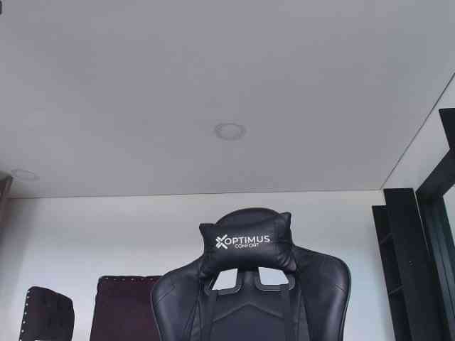pamelafit webcam