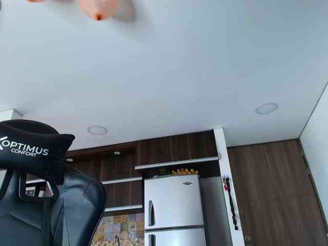 pamelafit webcam