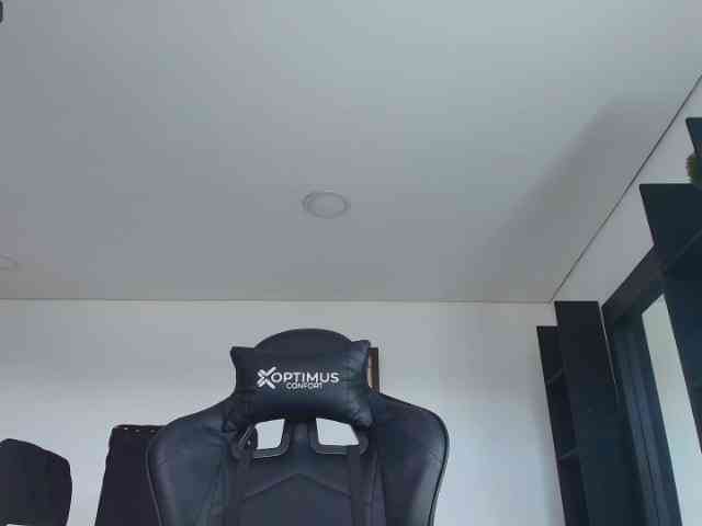 pamelafit webcam