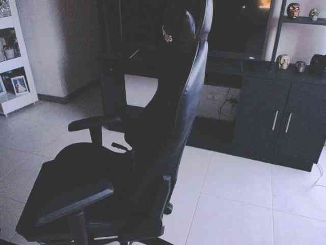 pamelafit webcam
