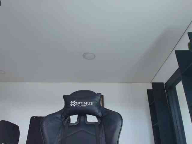 pamelafit webcam