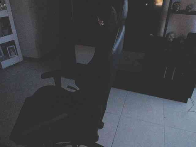 pamelafit webcam