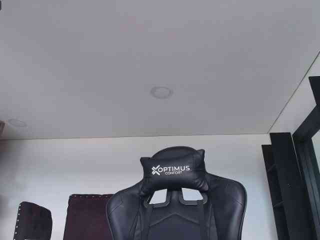 pamelafit webcam