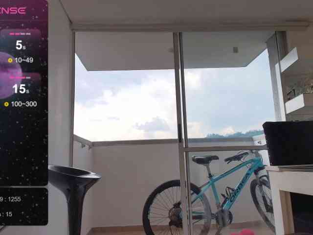 pamelafit webcam
