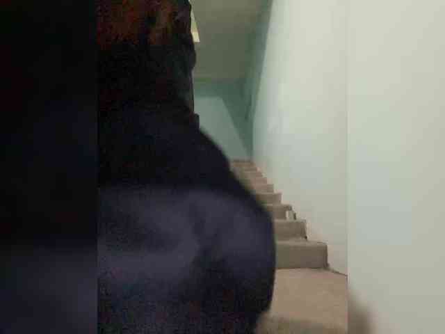 KiraSaud69 Live Webcam on BongaCams