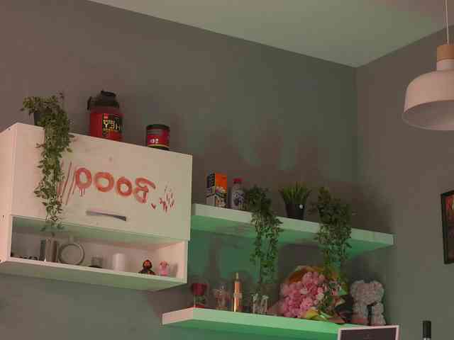 LeyaMeyers LeyaMeyers