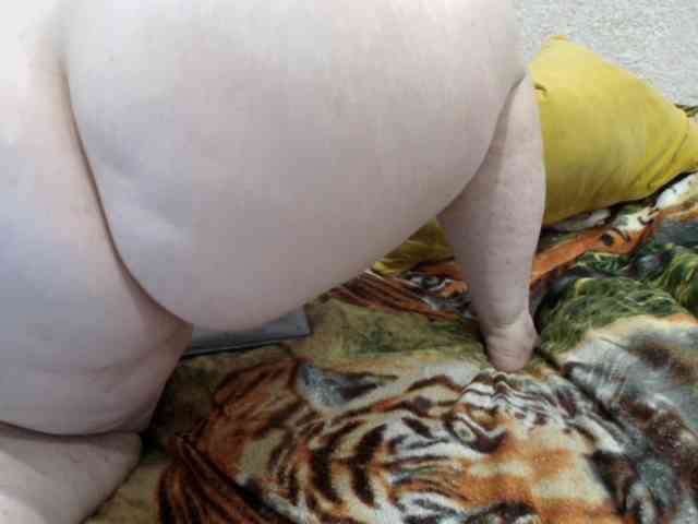 MILAax webcam