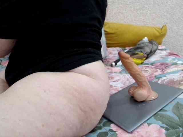 MILAax webcam