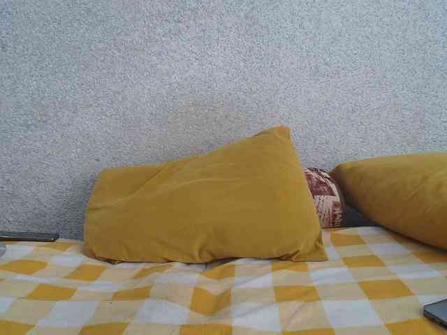 MILAax webcam
