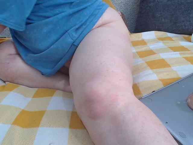 MILAax webcam
