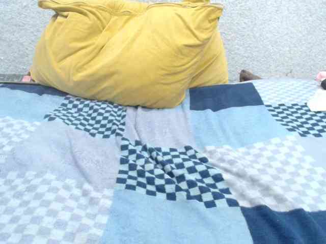 chat cam room MILAax
