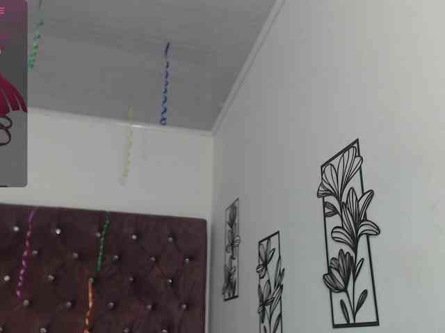 blue-water-cs webcam