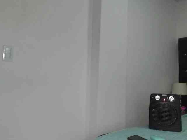 blue-water-cs webcam