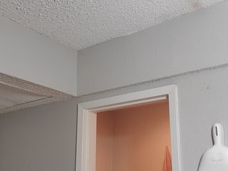 QueenAnitaDix Porn Show