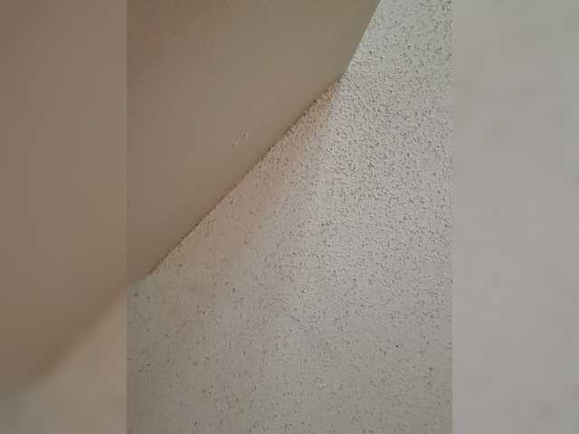 QueenAnitaDix's BongaCams show and profile