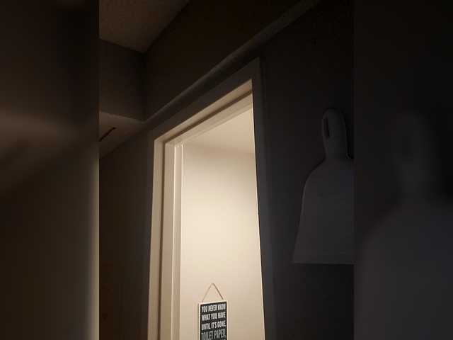 QueenAnitaDix live cam