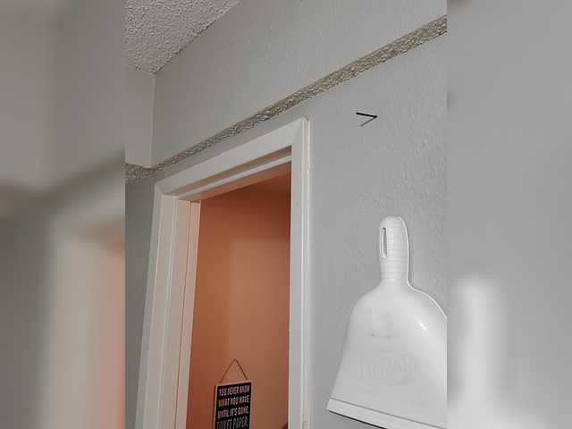 Preview of queenanitadix