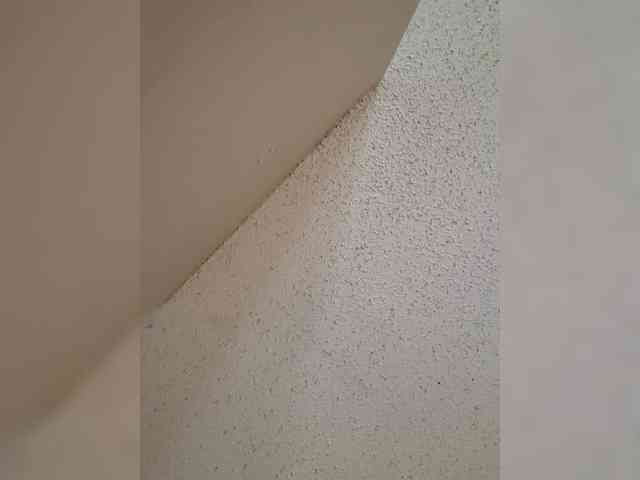 QueenAnitaDix webcam