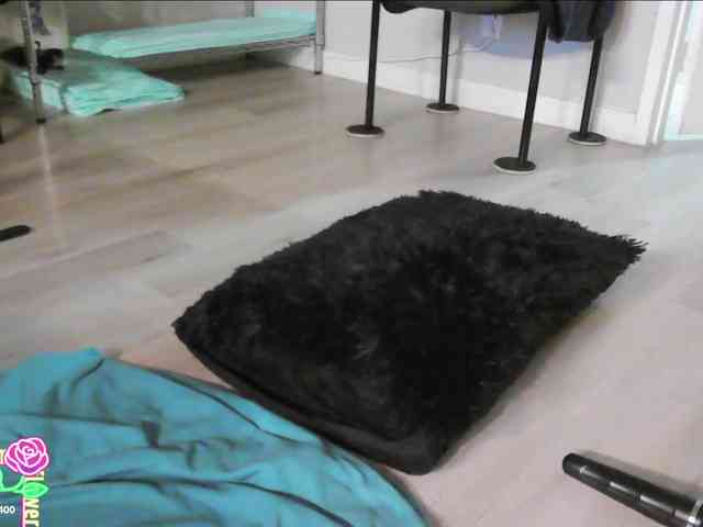 QueenAnitaDix webcam