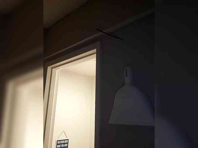 QueenAnitaDix webcam