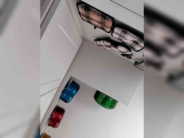 QueenAnitaDix webcam