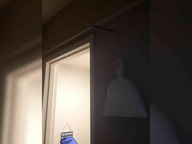 QueenAnitaDix webcam