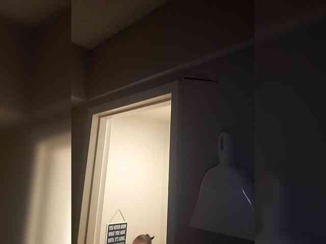 QueenAnitaDix webcam