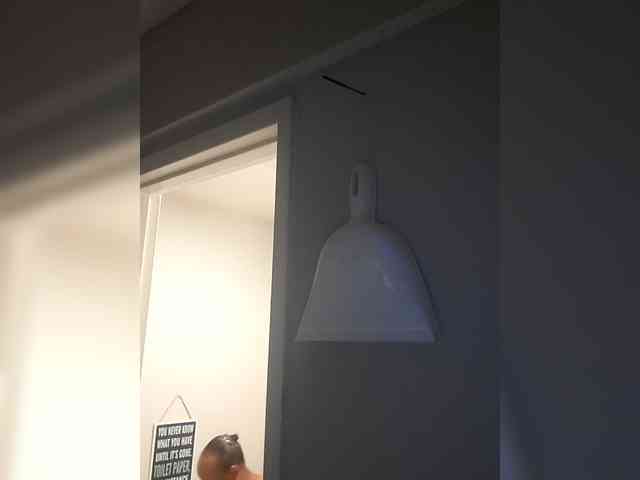 QueenAnitaDix webcam