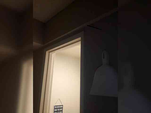 QueenAnitaDix webcam