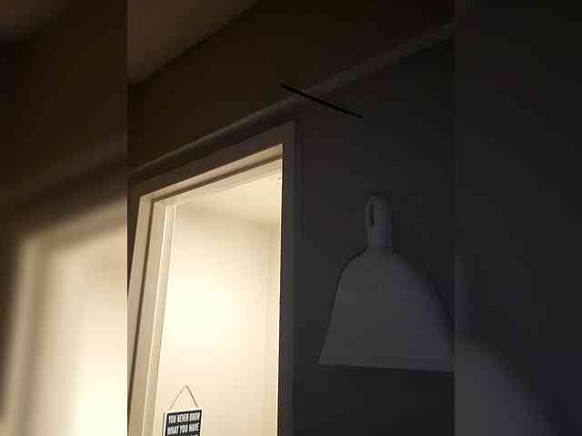 QueenAnitaDix webcam