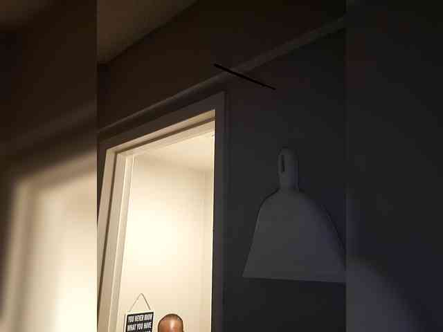 QueenAnitaDix QueenAnitaDix