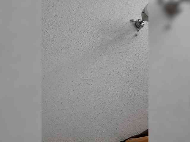 QueenAnitaDix webcam