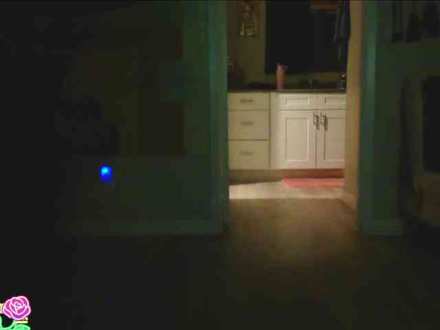 QueenAnitaDix webcam