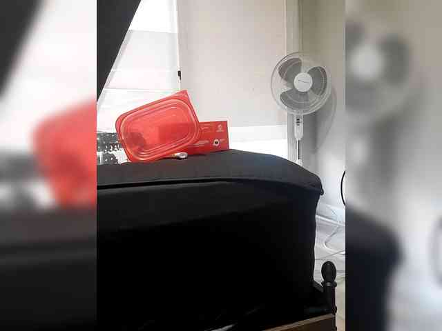 QueenAnitaDix webcam